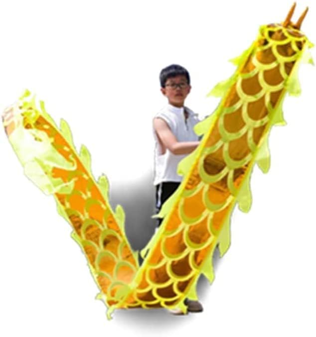 Dragon Dance Fitness Dragon Dance Streamers with 3D Dragon Head Adult and Kids Silk Fabric Dragon Fitness Ribbon for Outdoor Sports Outdoor