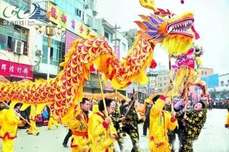 Dragon Dance Props - 7m 3D Dragon Head with Swing Rope Combo for Outdoor Silk Wulong Flowy Ribbon Streamer