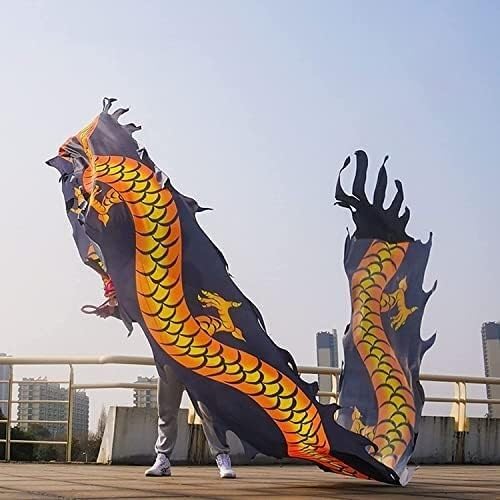 Dancing Dragon Ribbon Streamer, Dragon Silk Ribbon, Swing Fitness Dancing Dragon Ribbon Streamer, Dragon Head Silk Ribbon, Swing Ribbon Chinese Dancing Dragon Ribbon Streamer Outdoor Park(Black,Ft12m/