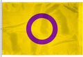 AGAS Large Intersex Flag 10x15 Ft - Printed 200D Nylon - Rope Thimble Brass Grommet Stitched Edges Fade Proof Sharp Colors - Big Size Intersexuality flag