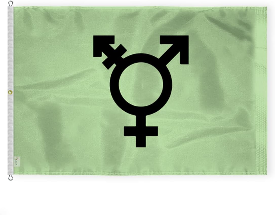 AGAS Large Israel Trans Flag 8x12 Ft - Printed 200D Nylon - Rope Thimble Brass Grommet Stitched Edges Fade Proof Sharp Colors - Large Size Indoor/Outdoor Israel Transgender Pride flag