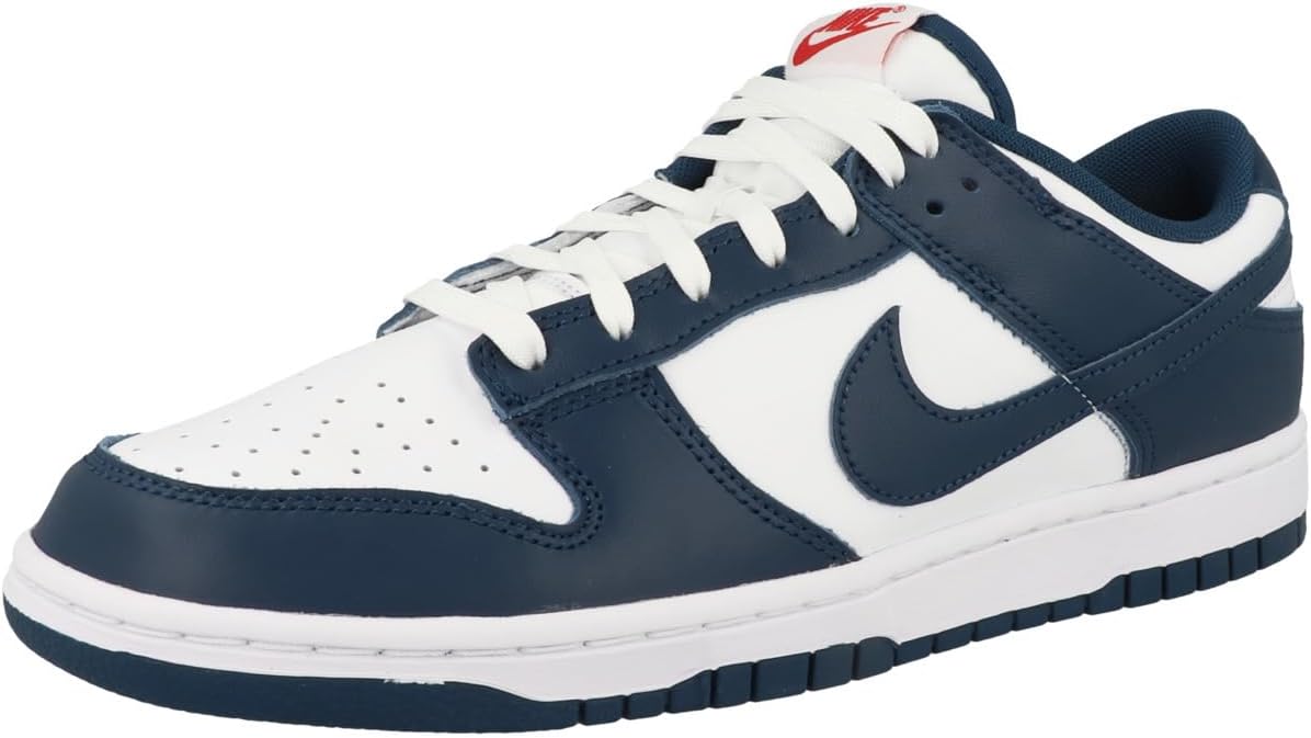 Nike Women's Dunk Low Retro Basketball Shoes