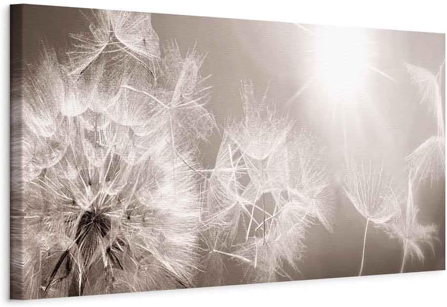 artgeist Acoustic Canvas Wall Art Print Dandelion 53x18 in - 1pcs Picture with Acoustic Foam Sound Print Artwork Room Acoustics Soundproofing - Beige Grey Sepia Nature b-C-0161-b-a