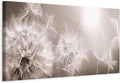 artgeist Acoustic Canvas Wall Art Print Dandelion 53x18 in - 1pcs Picture with Acoustic Foam Sound Print Artwork Room Acoustics Soundproofing - Beige Grey Sepia Nature b-C-0161-b-a