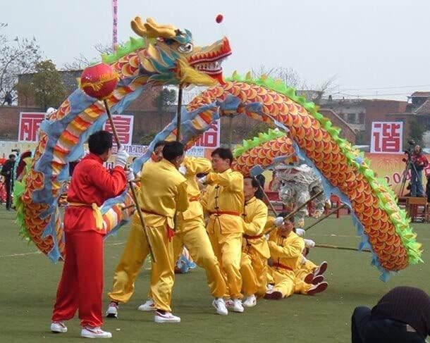 Dragon Dance Props - 7m 3D Dragon Head with Swing Rope Combo for Outdoor Silk Wulong Flowy Ribbon Streamer