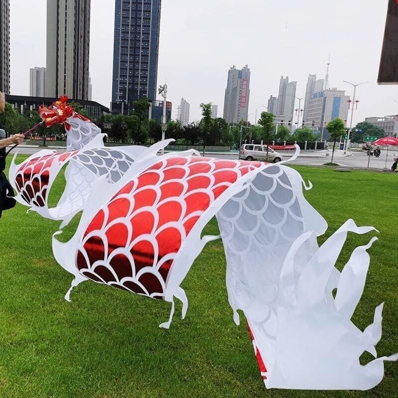 Chinese Dragon Costume Dance Lion Props Streamer Chinese New Year Silk Dragon Traditional Outdoor Dragon Fitness Ribbon Lion Dance Costume(B,8m)