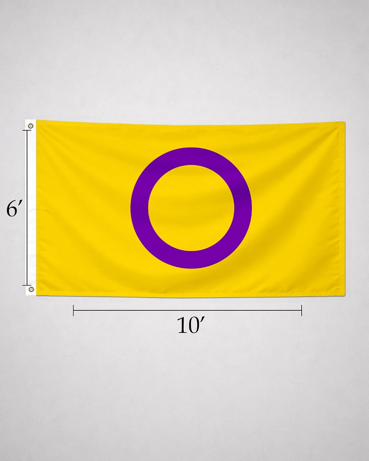 AGAS Intersex Pride Flag LGBTQ Pride 6x10 Ft - Double Sided 1 Ply 200D Nylon Brass Grommets Stitched Edges 100% Bleed Through Fade Resistant Indoor Outdoor