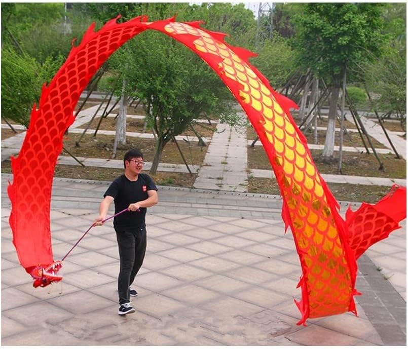 Dragon Dance Props 8 m Fitness Dragon Dance Streamers with 3D Dragon Head Adult and Kids Silk Fabric Dragon Fitness Ribbon for Outdoor Sports Gorgeous