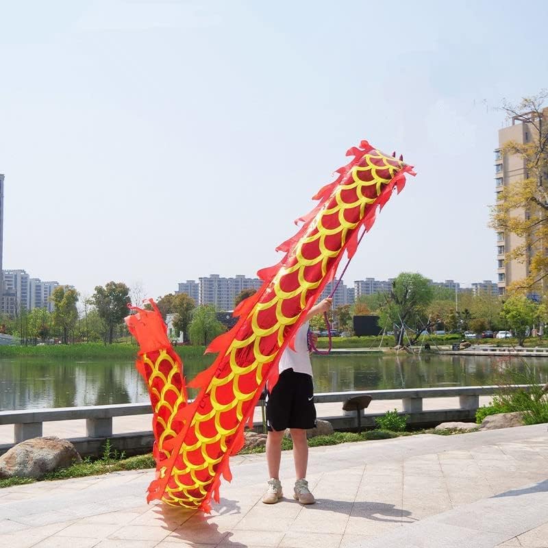 LIOONS Fitness Dragon Dance Streamers with 3D Dragon Head Adult and Kids Silk Fabric Dragon Fitness Ribbon for Outdoor Sports