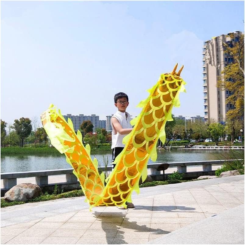 OLOTU Dance Lion Fitness Dragon Dance Streamers with 3D Dragon Head Adult and Kids Silk Fabric Dragon Fitness Ribbon for Outdoor Sports Perfect Lifelike