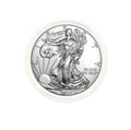2019 - American Silver Eagle in Plastic Air Tite with our Certificate of Authenticity Dollar Uncirculated Us Mint