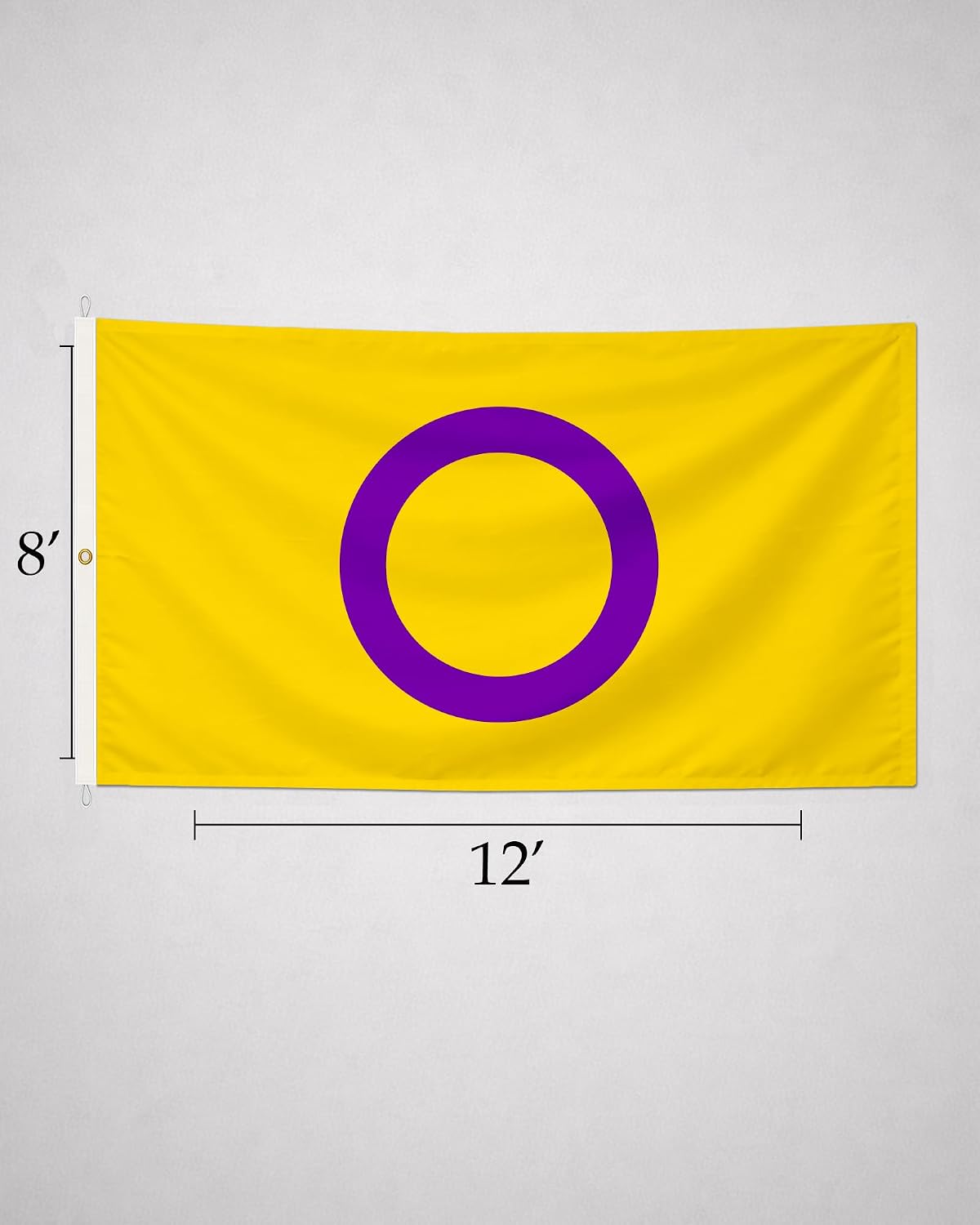 AGAS Large Intersex Flag 8x12 Ft - Printed 200D Nylon - Rope Thimble Brass Grommet Stitched Edges Fade Proof Sharp Colors - Large Size Indoor/Outdoor Intersexuality flag