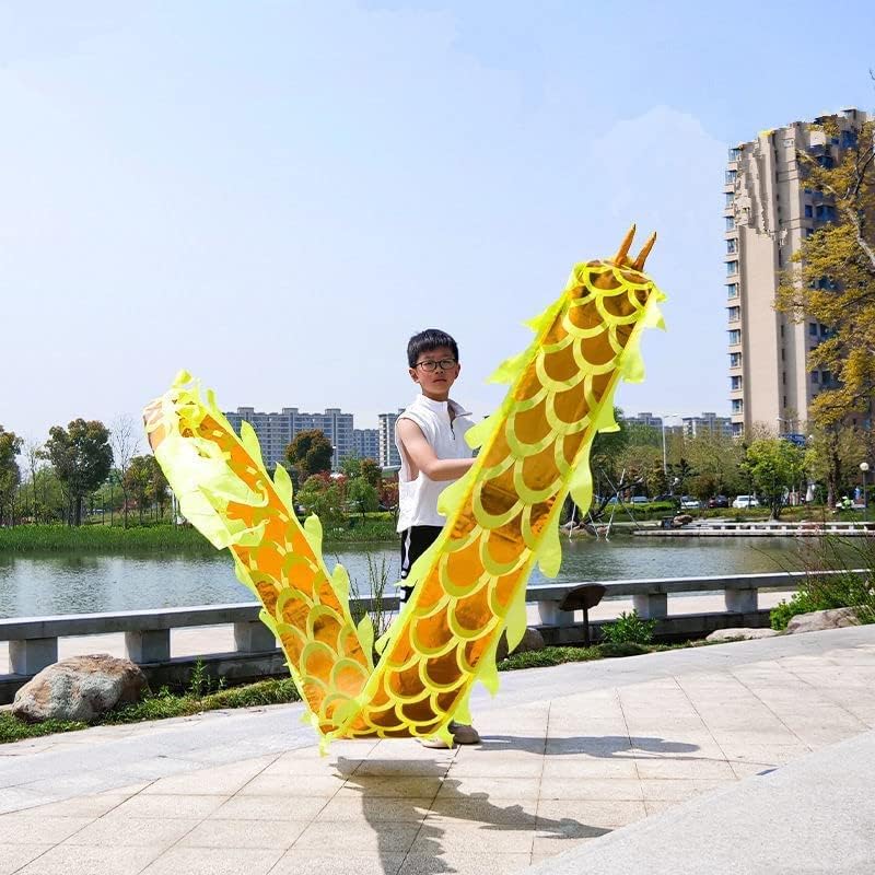 LIOONS Fitness Dragon Dance Streamers with 3D Dragon Head Adult and Kids Silk Fabric Dragon Fitness Ribbon for Outdoor Sports