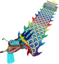 Dragonhead Dance Streamers，Dragon Flowy Spinning， Chinese Dragon Lion Dance Silk Streamer Multicolor 10m/12m(A,12 Months)