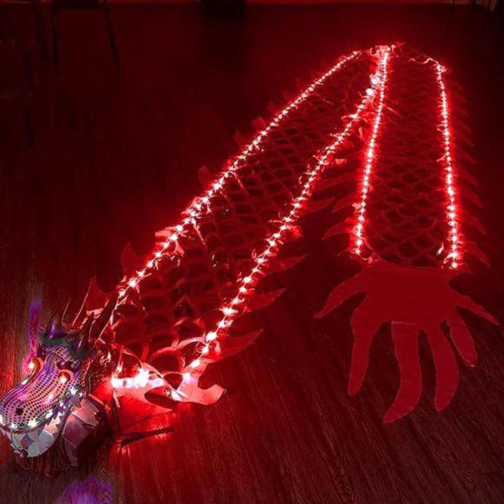 DSJUGGLING 8 Meters (26.2 FT) Square Exercise Dance Dragon Poi with 3D Dragon Head and Swing Rope Combo, Chinese Dragon Dance Flowy Ribbon Streamer Outdoor Fitness Dragon Stage Prop Set (Red LED)
