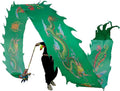 BKEKM Dragon Dance Cloth 20 Feet Lion Dance Props Streamer Shaking with Handsticks Silk Dragon Dance Travel Bag Dragon Dance Ribbon