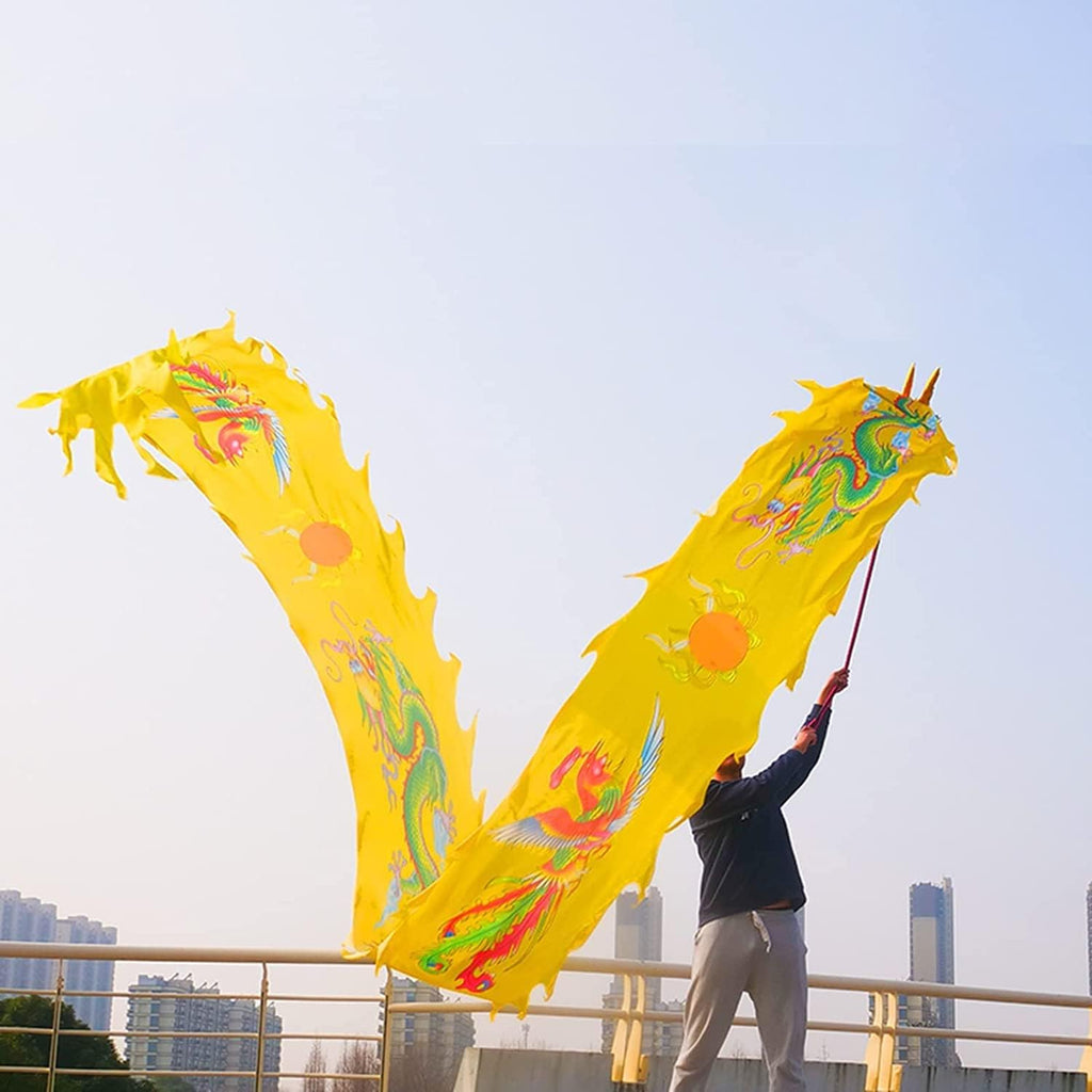 NOLLAM Outdoor Chinese 3D Dragon Dance Ribbon Aldults Elderly Silk Flowy Spinning Dance Poi Extra Long Streamer for Spring Outing, Party Celebration Wu Long