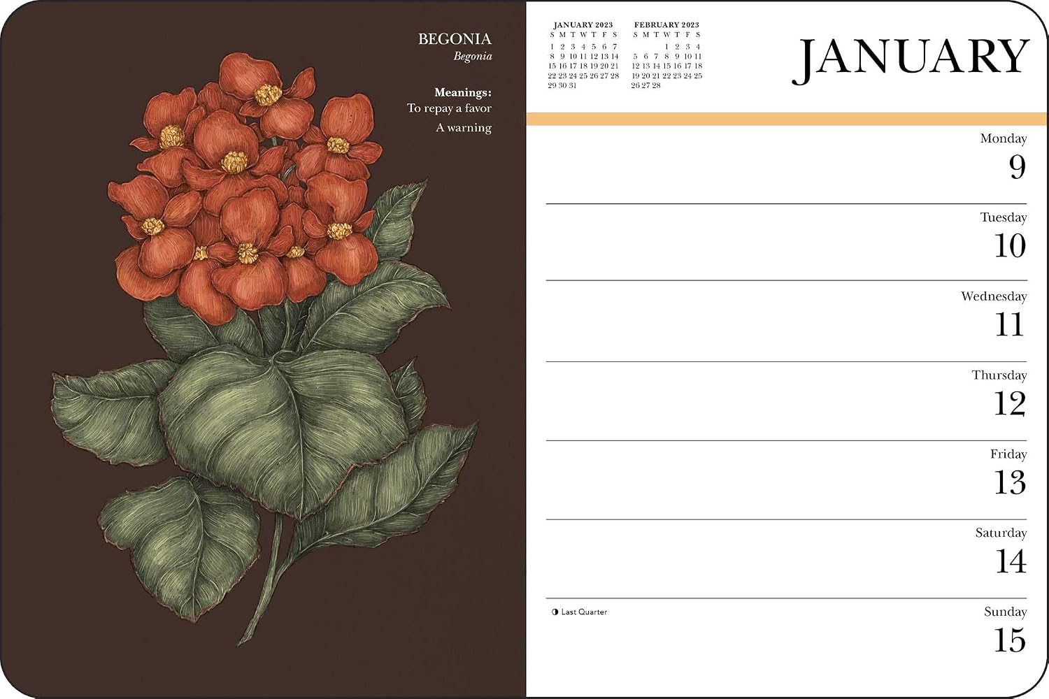 Floriography 12-Month 2023 Monthly/Weekly Planner Calendar: Secret Meaning of Flowers