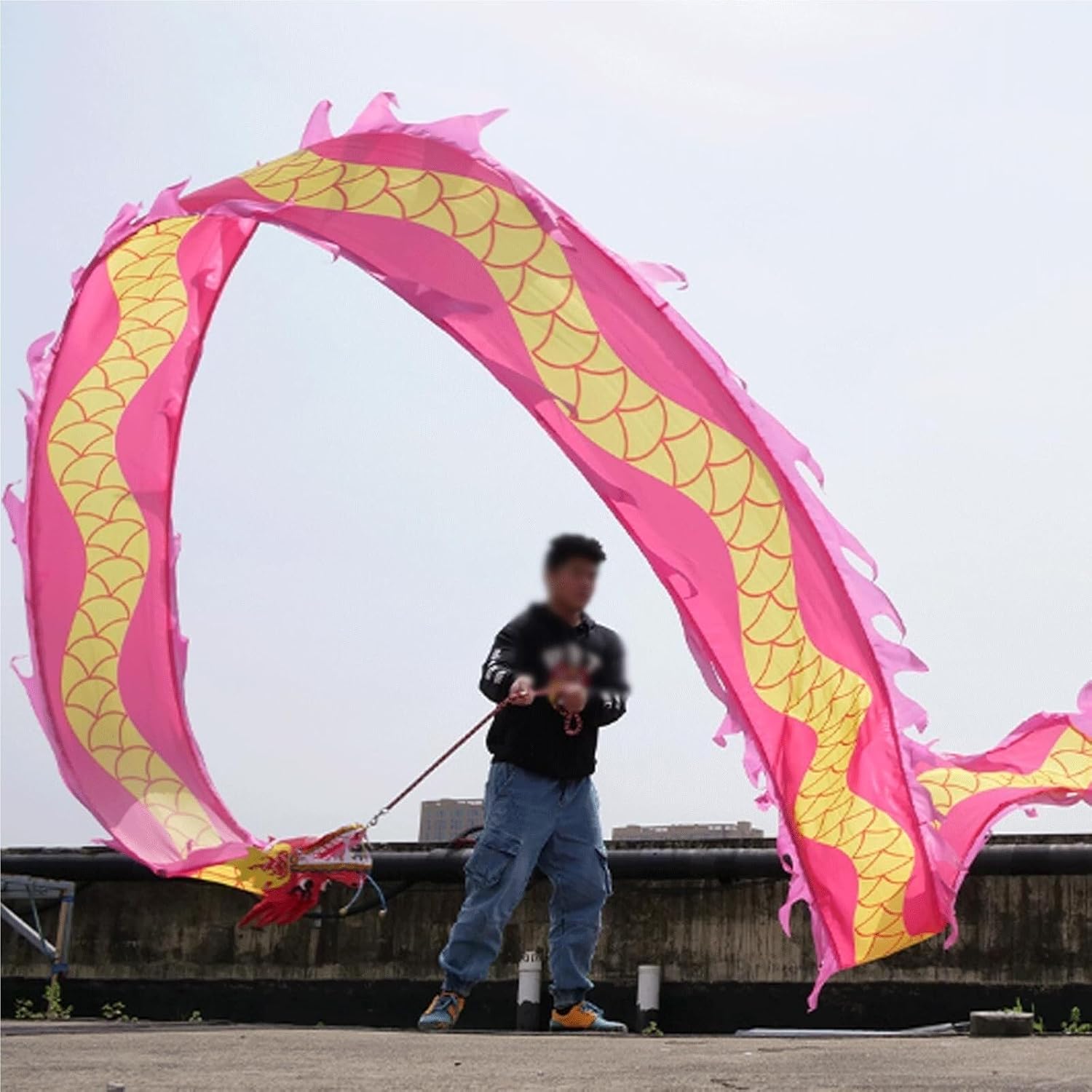 Chinese Dragon Costume Dragon Ribbon Juggling Play Dragon Dance Streamer Dragon Head with Rope Exercise Lion Dance Costume(Pink)