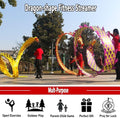Kids Wand Dragon Dance Ribbons Dragon Print Dance Streamers, Adult outdoor fitness swinging and spinning silk ribbons, Celebration equipment Suitable for artistic dance gymnastics, rainbow pa(Co