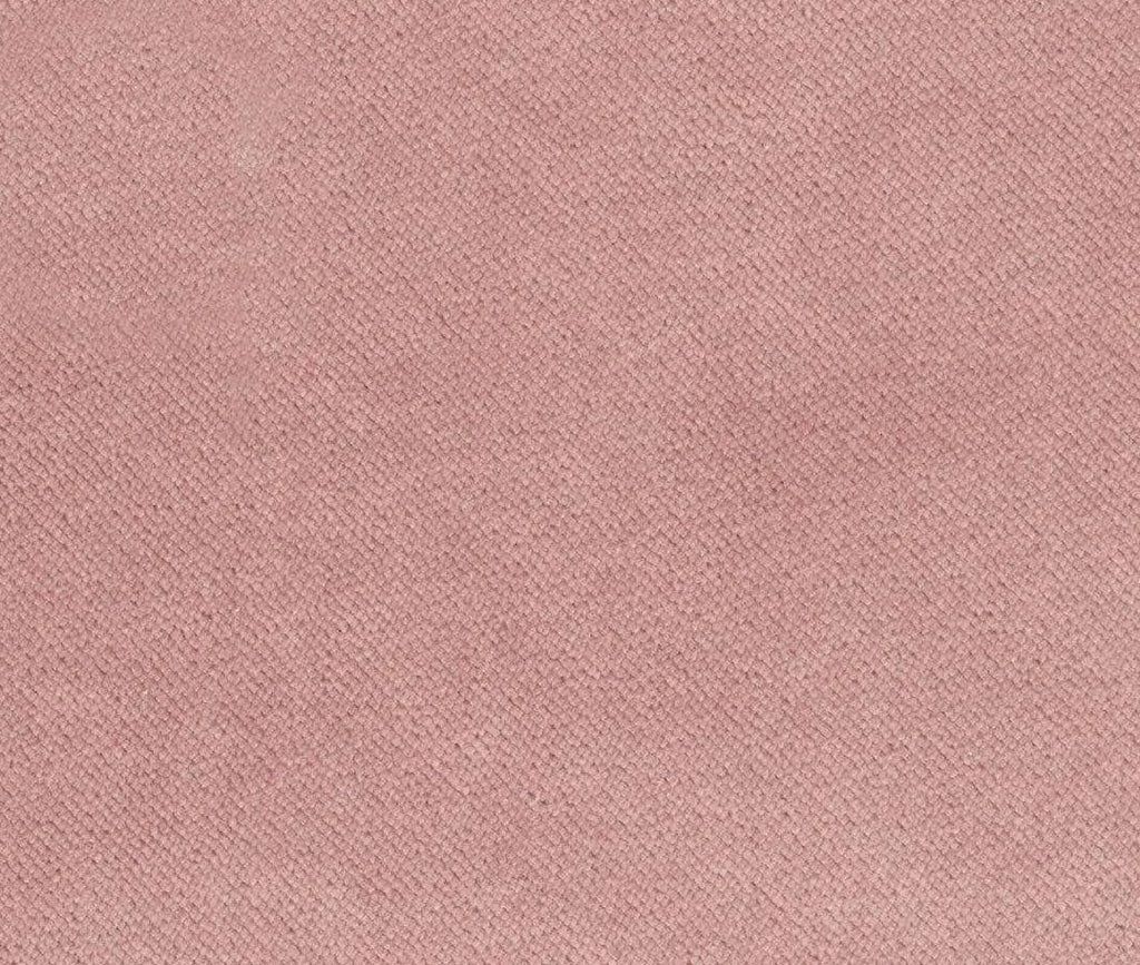 Liz Jordan Hill Luxury Blossom Velvet Stain Resistant Aquaclean Upholstery Fabric by the Yard Material for Home, Auto, Rv, Sofa, Chair - AC Bellagio, Blossom 503, 2 Yard