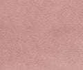 Liz Jordan Hill Luxury Blossom Velvet Stain Resistant Aquaclean Upholstery Fabric by the Yard Material for Home, Auto, Rv, Sofa, Chair - AC Bellagio, Blossom 503, 2 Yard