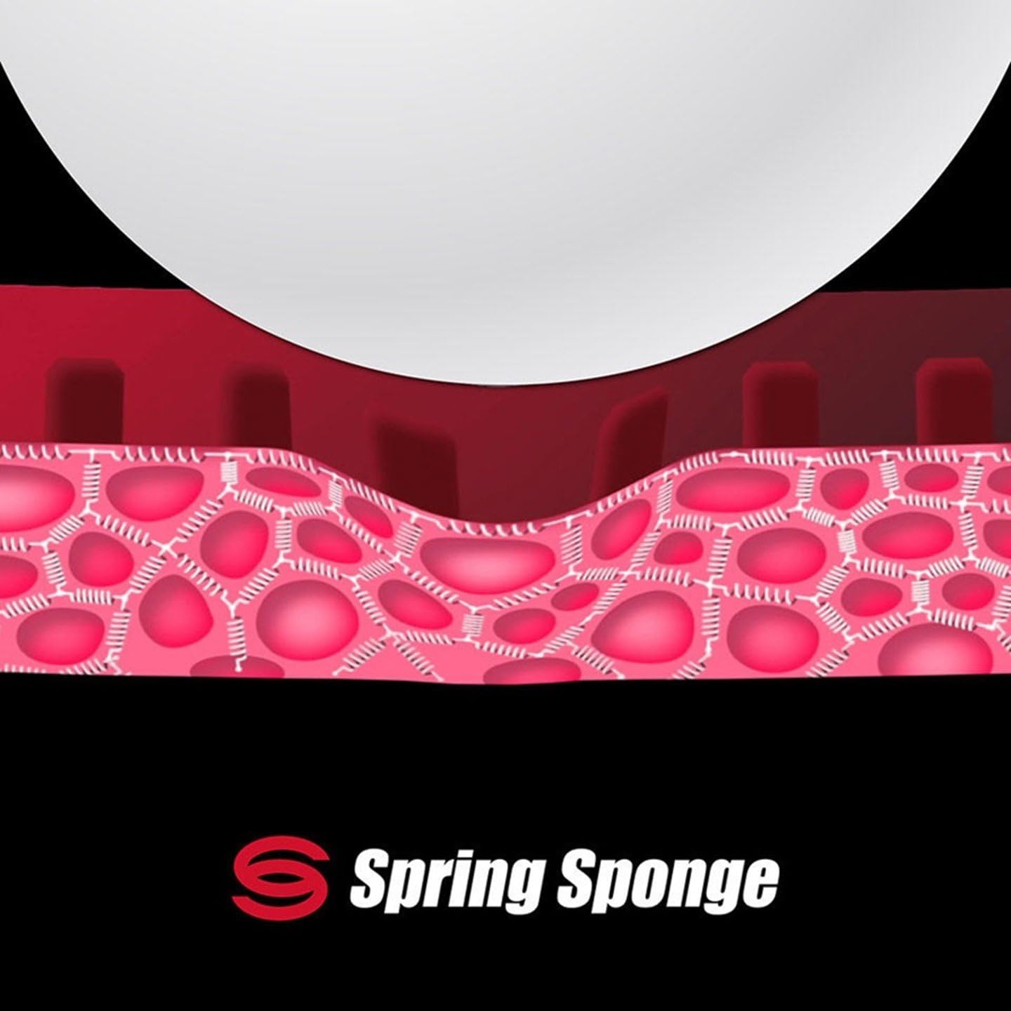 ButterflyTable Tennis Racket