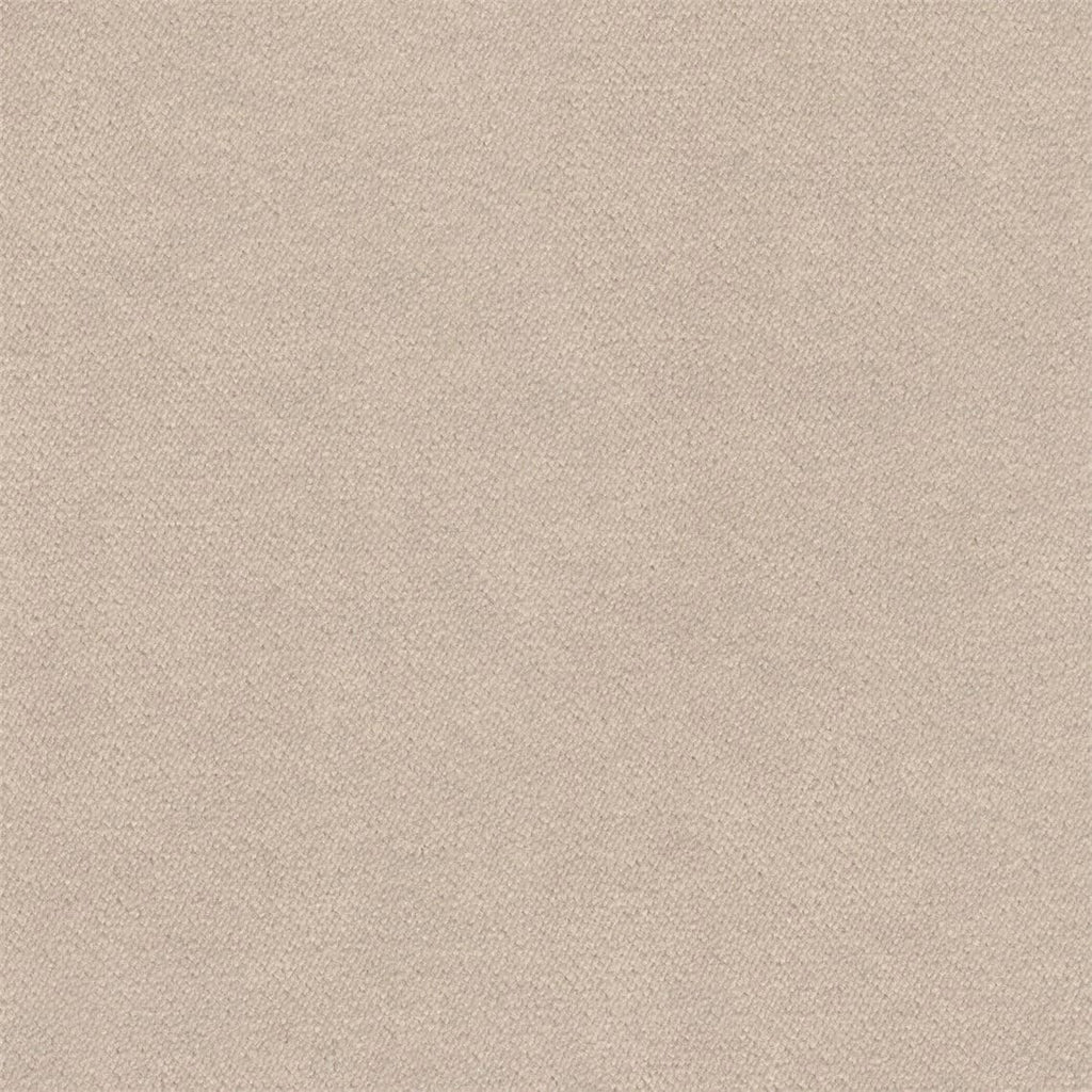 Liz Jordan Hill Luxury Buff Velvet Stain Resistant Aquaclean Upholstery Fabric by the Yard Material for Home, Auto, Rv, Sofa, Chair - AC Bellagio, Buff 245-2 Yard