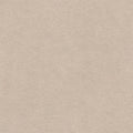 Liz Jordan Hill Luxury Buff Velvet Stain Resistant Aquaclean Upholstery Fabric by the Yard Material for Home, Auto, Rv, Sofa, Chair - AC Bellagio, Buff 245-2 Yard