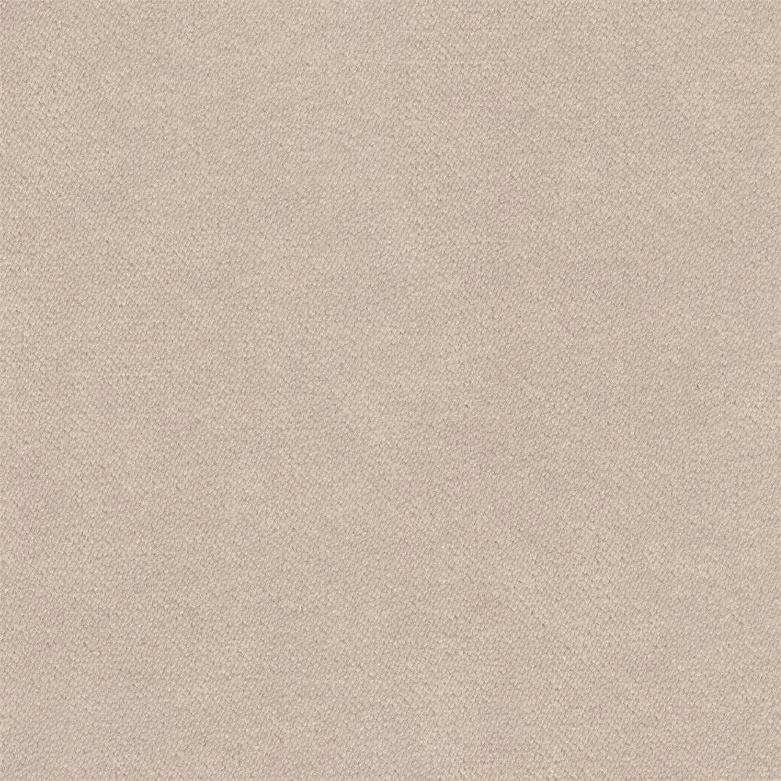 Liz Jordan Hill Luxury Buff Velvet Stain Resistant Aquaclean Upholstery Fabric by the Yard Material for Home, Auto, Rv, Sofa, Chair - AC Bellagio, Buff 245-2 Yard