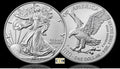 2022 Roll of 20 - 2022 1 ounce Silver Eagle Brilliant Uncirculated untouched from US Mint .999 Silver 1 ounce Silver Eagle Mint State Roll of 20 Great Collectors Item $1 Brilliant Uncirculated US Mint UC