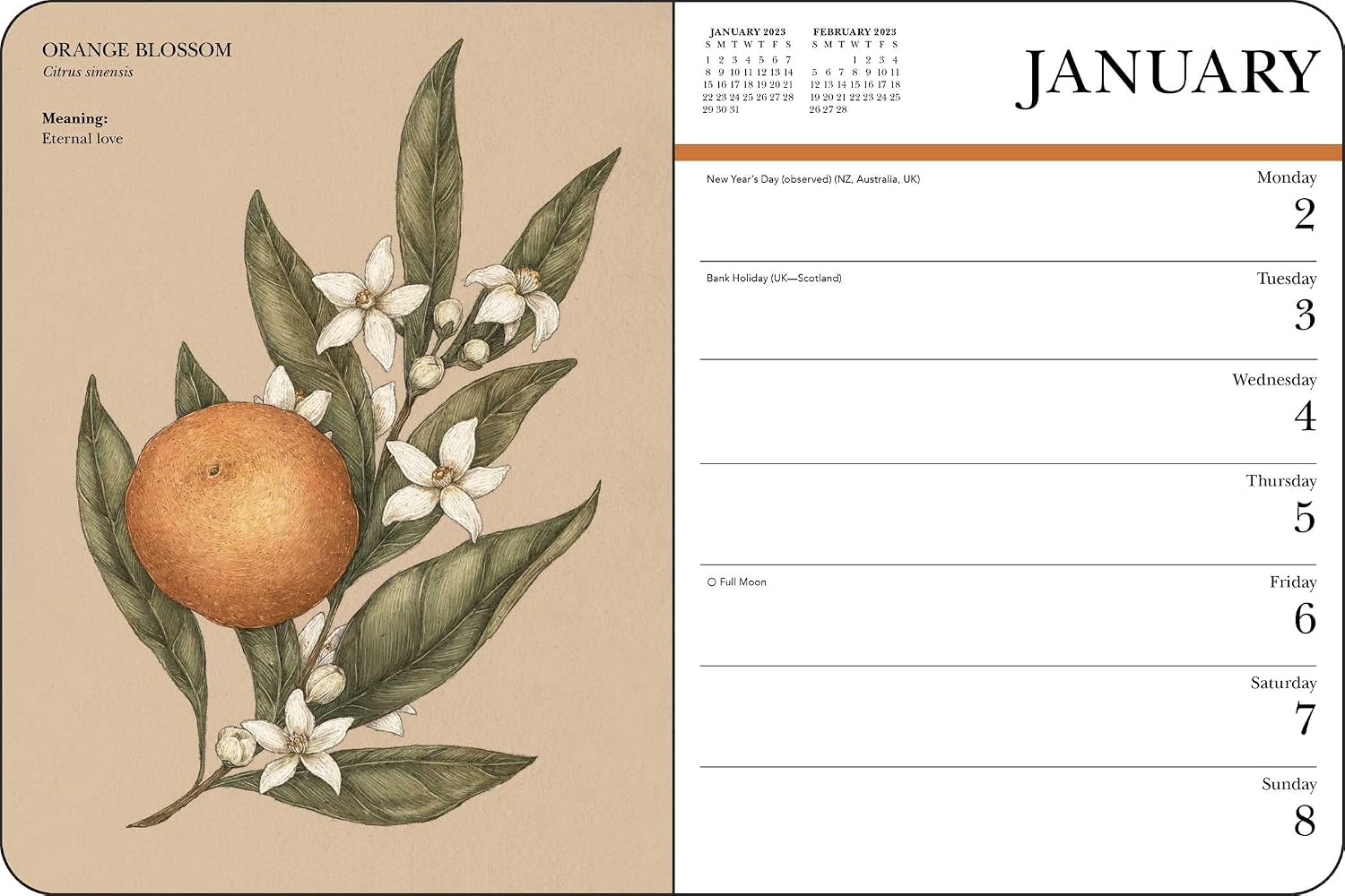 Floriography 12-Month 2023 Monthly/Weekly Planner Calendar: Secret Meaning of Flowers