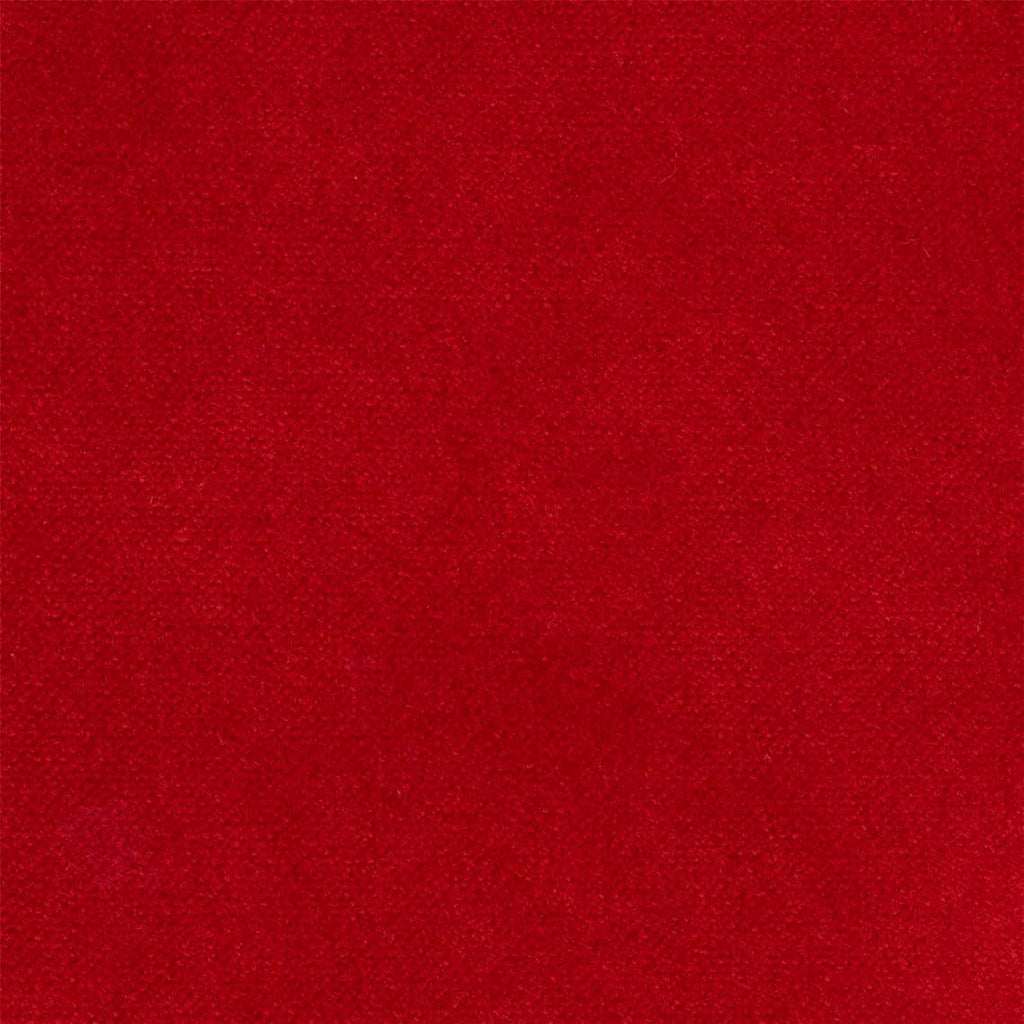 Liz Jordan Hill Luxury Cayenne Velvet Stain Resistant Aquaclean Upholstery Fabric by the Yard Material for Home, Auto, Rv, Sofa, Chair - AC Bellagio, Cayenne 008, 2 Yard