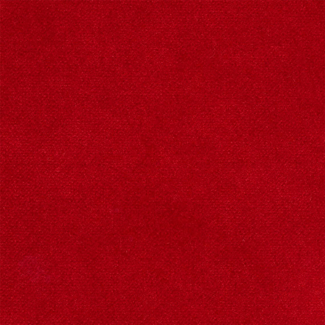 Liz Jordan Hill Luxury Cayenne Velvet Stain Resistant Aquaclean Upholstery Fabric by the Yard Material for Home, Auto, Rv, Sofa, Chair - AC Bellagio, Cayenne 008, 2 Yard