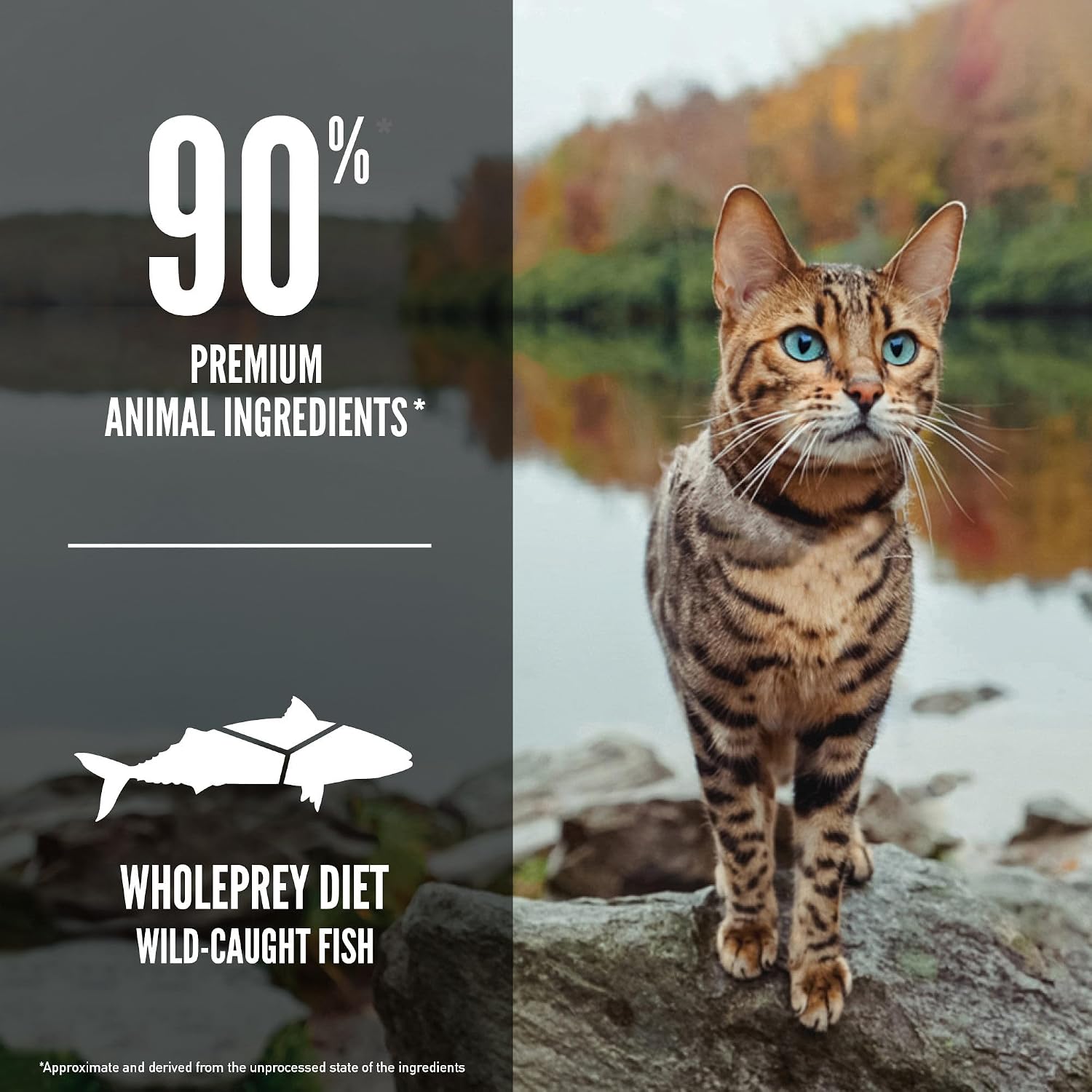 ORIJEN Six Fish Cat 7LB (Pack of 2)