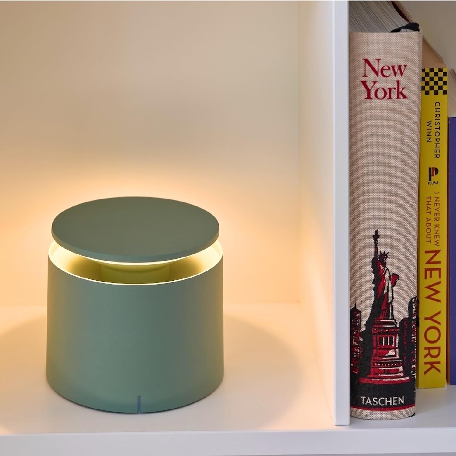 Zafferano, Push-Up Lamp, Rechargeable Cordless Table Lamp with Touch Controls, Suitable for Indoor and Outdoor, Dimmer, 2200-3000 K, Height 3.1-3.9 Inches, Sage Color