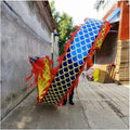 Chinese Dragon Dance 8m Dragon Ribbon Streamer 3D Colorful Dragon Silk Chinese New Year Performance Chinese Folk Dragon Dance Dance Dragon Props Interesting