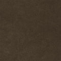 Liz Jordan Hill Luxury Truffle Velvet Stain Resistant Aquaclean Upholstery Fabric by the Yard Material for Home, Auto, Rv, Sofa, Chair - AC Bellagio, 131 Truffle, 2 Yard