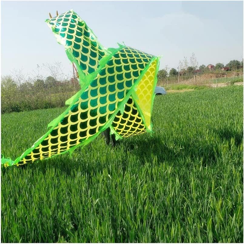 Dragon Dance Props 8 m Fitness Dragon Dance Streamers with 3D Dragon Head Adult and Kids Silk Fabric Dragon Fitness Ribbon for Outdoor Sports Gorgeous