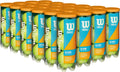 Wilson Profile All Court Tennis Balls - Single Can, 4 Cans (12 Balls), 24 Cans (72 Balls)