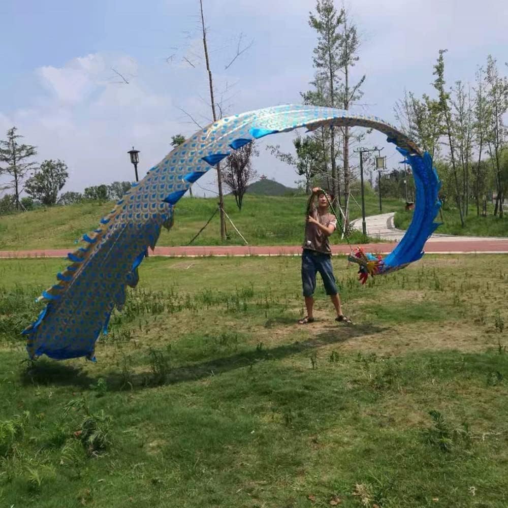 LIOONS 8 M Dragon Dance Props Outdoor Dragon Ribbon Streamer Handmade Silk Dragon for New Year Stage Performance Wu Long Ribbons