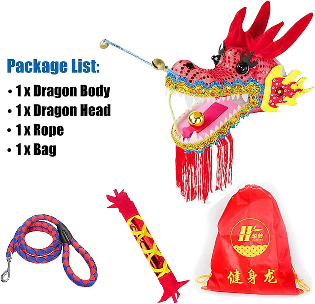 Chinese Dragon Dance 3D Dragon Dance Ribbon Slope Dragon Throw Streamer Silk-Like Flowy Chinese Dragon Ribbon Streamer + Travel Bag Interesting