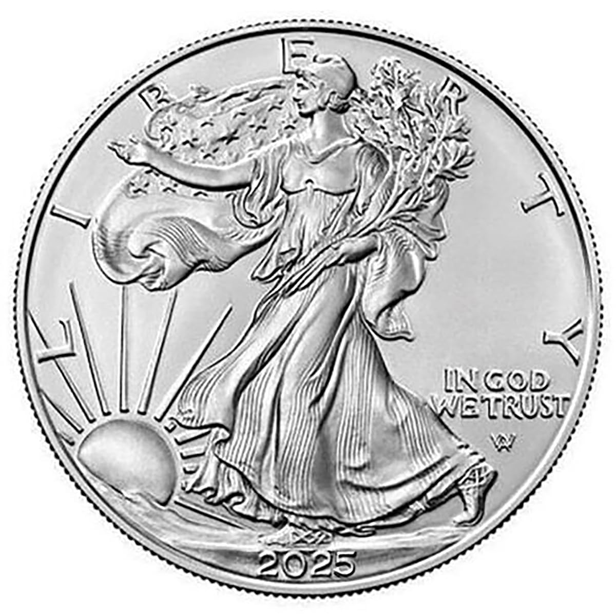 2025 American Silver Eagle .999 Fine Silver with Black Background Snap Tight Square Holder Dollar Uncirculated US Mint
