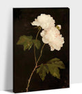 French Country Decor Wall Art, French Botanical Art Prints, Magnolia Floral Flower Wall Poster, Black and White Floral Flower Picture, Vintage Boho Style Wall Art for Living Room Office 32x48 Inch