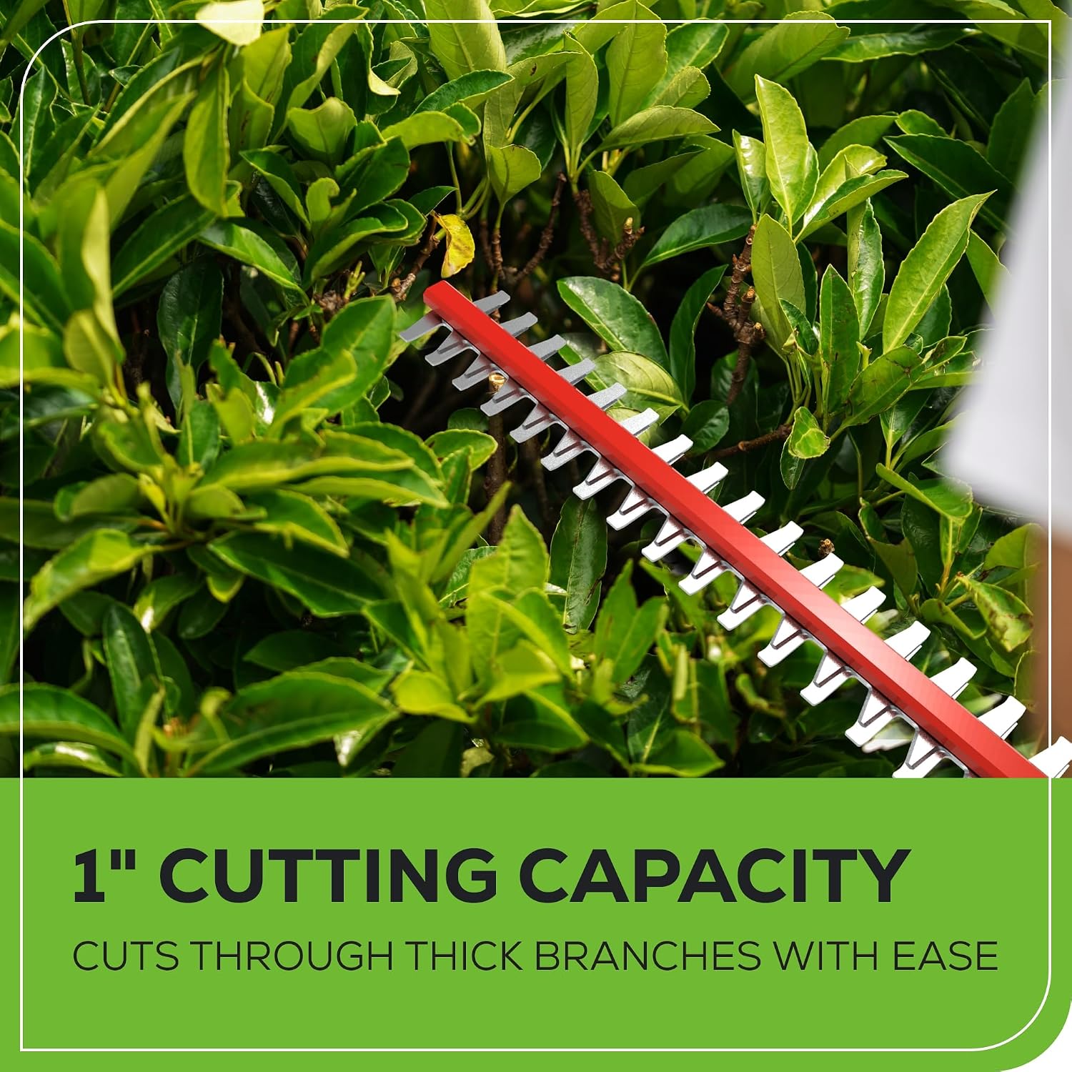 Greenworks 40V 20' Cordless Pole Hedge Trimmer, 2.0Ah Battery and Charger Included