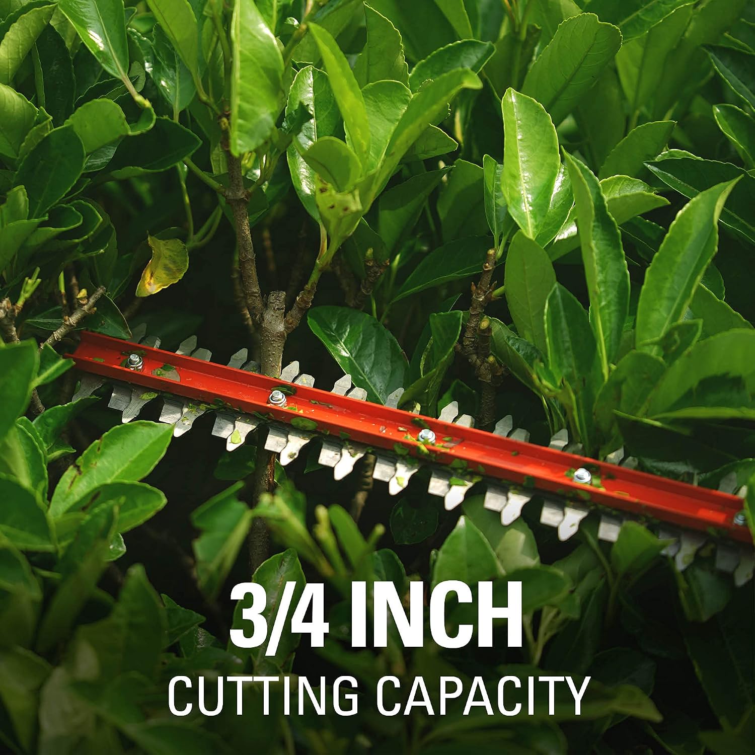 Greenworks 24V 22' Cordless Rotating Handle Hedge Trimmer, 1.5Ah USB Battery and Charger Included