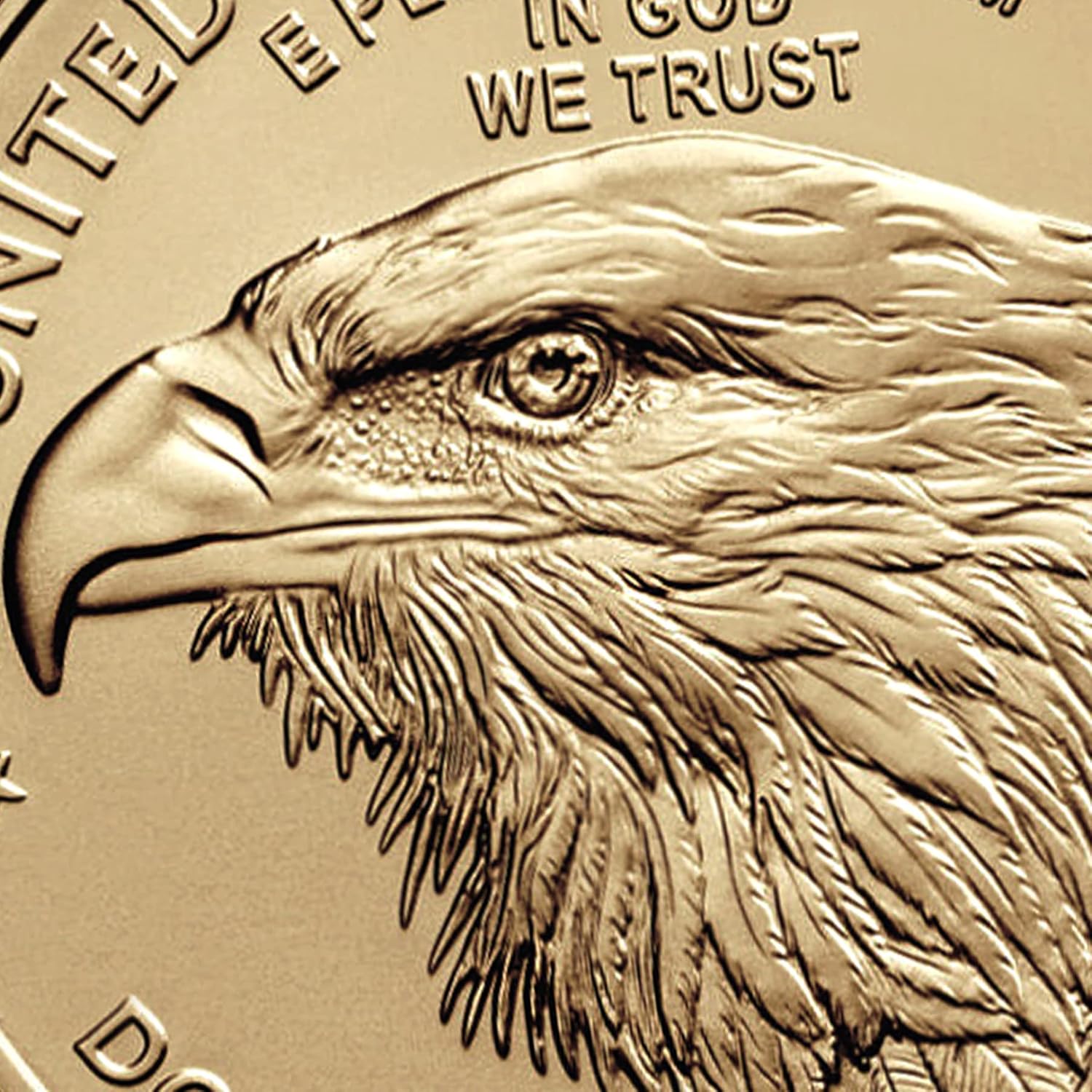 2024 ‎ 1/10 oz American Gold Eagle Coin Brilliant Uncirculated with a Certificate of Authenticity $5 Seller Mint State