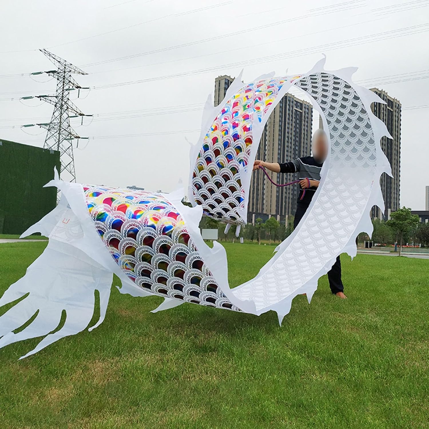 Kunovo Dragon Poi White Dance Dragon Flinging Ribbon, Traditional Fitness Spinning Drago Ribbons with Dragon Head, Dragon Poi Set for Juggling/Event Celebration (Size : 6 m (20 ft)), 58741