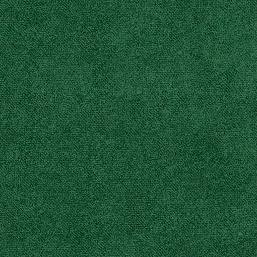 Liz Jordan Hill Luxury Emerald Velvet Stain Resistant Aquaclean Upholstery Fabric by the Yard Material for Home, Auto, Rv, Sofa, Chair - AC Bellagio - Emerald 082-2 Yard