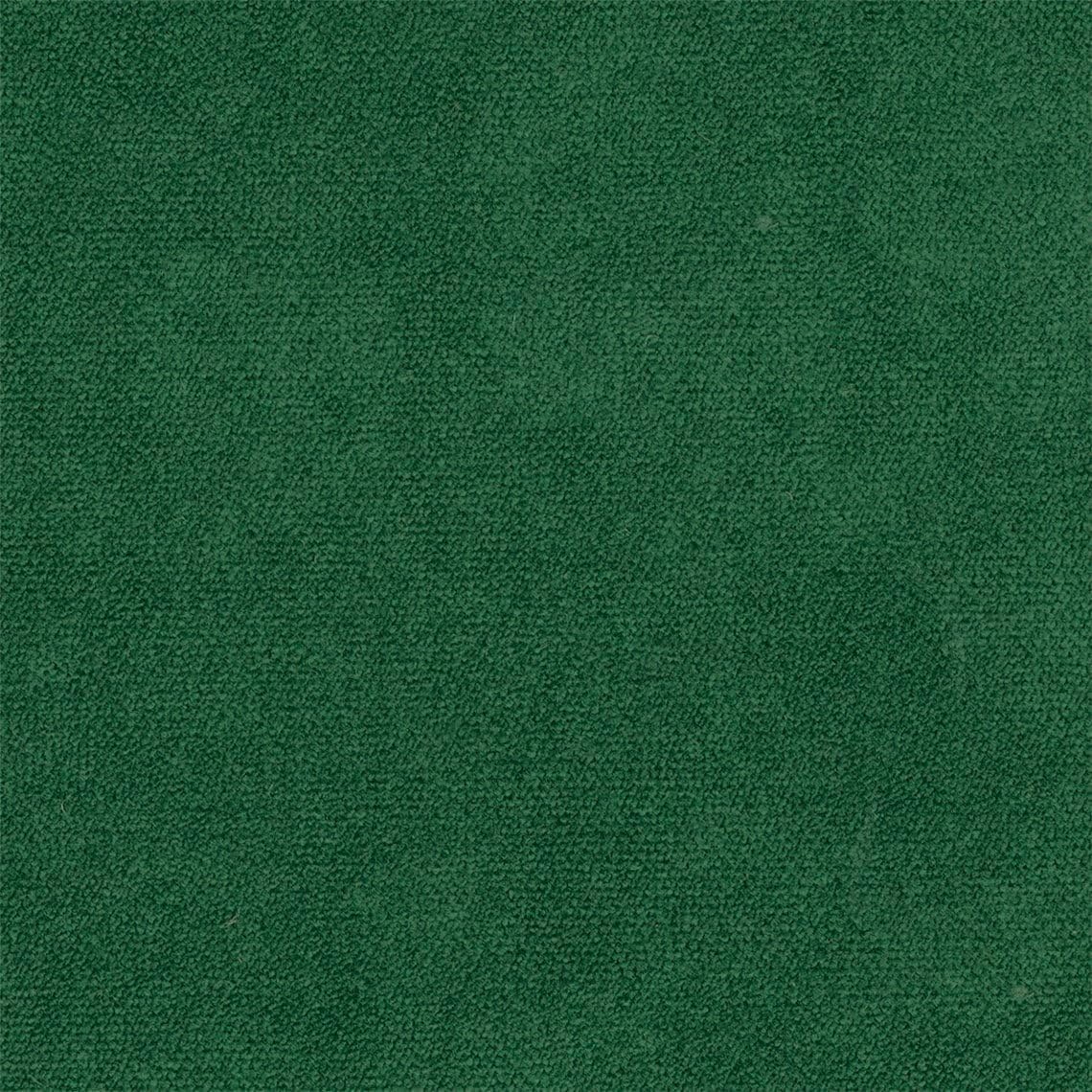 Liz Jordan Hill Luxury Emerald Velvet Stain Resistant Aquaclean Upholstery Fabric by the Yard Material for Home, Auto, Rv, Sofa, Chair - AC Bellagio - Emerald 082-2 Yard